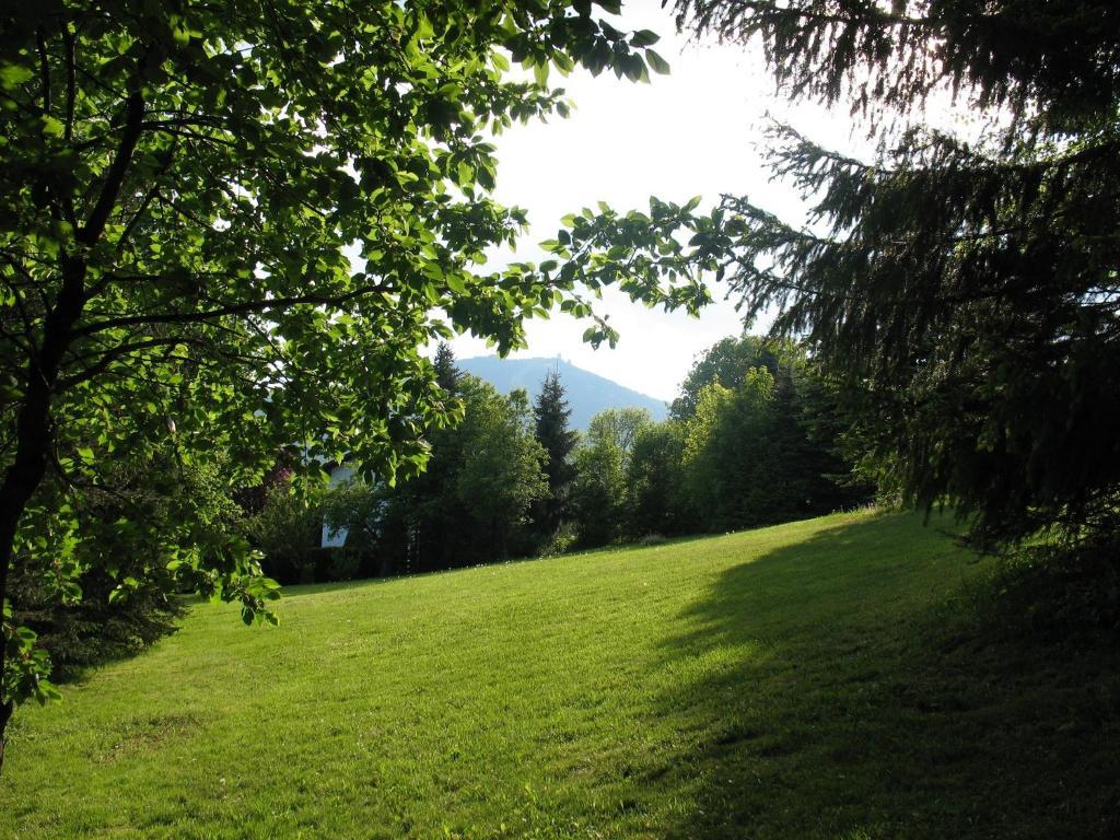 Falkenhof Classic Bayerisch Eisenstein Esterno foto