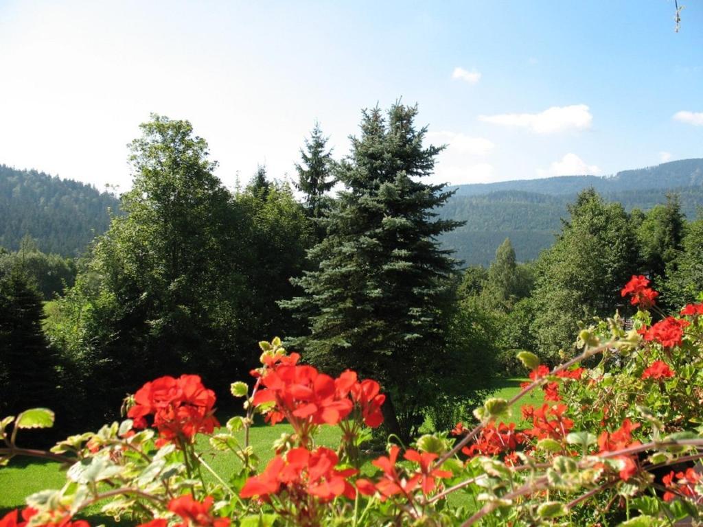 Falkenhof Classic Bayerisch Eisenstein Esterno foto