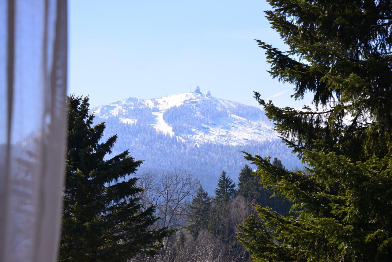 Falkenhof Classic Bayerisch Eisenstein Esterno foto